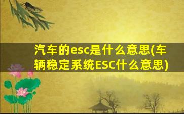 汽车的esc是什么意思(车辆稳定系统ESC什么意思)