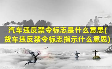 汽车违反禁令标志是什么意思(货车违反禁令标志指示什么意思)