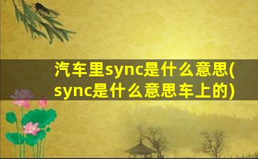 汽车里sync是什么意思(sync是什么意思车上的)