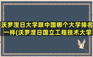 沃罗涅日大学跟中国哪个大学排名一样(沃罗涅日国立工程技术大学)