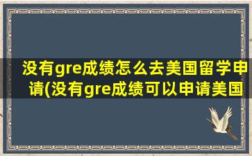 没有gre成绩怎么去美国留学申请(没有gre成绩可以申请美国研究生吗)