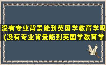 没有专业背景能到英国学教育学吗(没有专业背景能到英国学教育学吗女生)