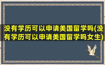 没有学历可以申请美国留学吗(没有学历可以申请美国留学吗女生)