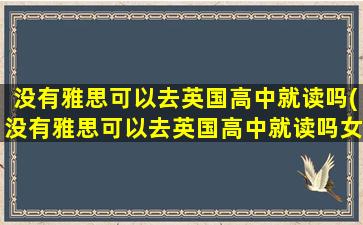 没有雅思可以去英国高中就读吗(没有雅思可以去英国高中就读吗女生)