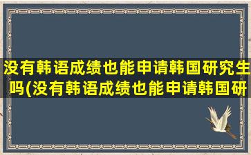 没有韩语成绩也能申请韩国研究生吗(没有韩语成绩也能申请韩国研究生吗英语)