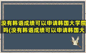 没有韩语成绩可以申请韩国大学院吗(没有韩语成绩可以申请韩国大学院吗英文)