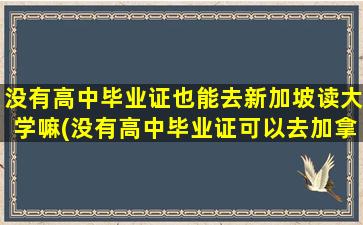 没有高中毕业证也能去新加坡读大学嘛(没有高中毕业证可以去加拿大留学吗)