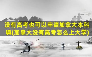 没有高考也可以申请加拿大本科嘛(加拿大没有高考怎么上大学)