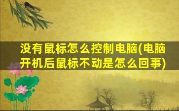 没有鼠标怎么控制电脑(电脑开机后鼠标不动是怎么回事)