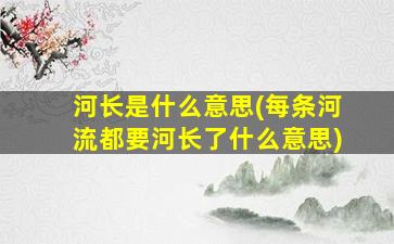 河长是什么意思(每条河流都要河长了什么意思)