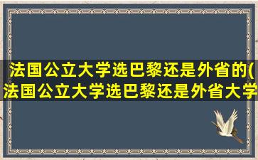 法国公立大学选巴黎还是外省的(法国公立大学选巴黎还是外省大学好)