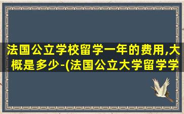 法国公立学校留学一年的费用,大概是多少-(法国公立大学留学学费)