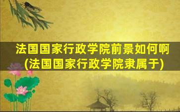 法国国家行政学院前景如何啊(法国国家行政学院隶属于)