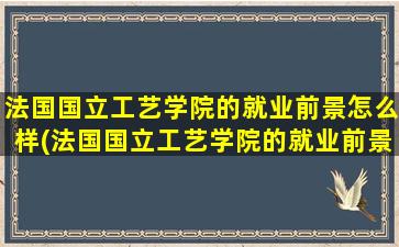 法国国立工艺学院的就业前景怎么样(法国国立工艺学院的就业前景分析)