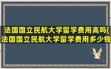 法国国立民航大学留学费用高吗(法国国立民航大学留学费用多少钱)