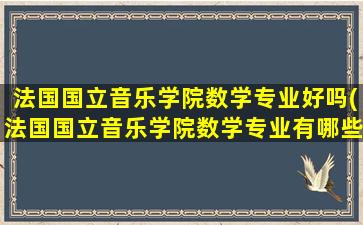 法国国立音乐学院数学专业好吗(法国国立音乐学院数学专业有哪些)