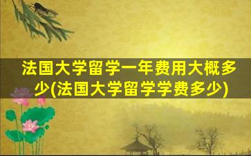 法国大学留学一年费用大概多少(法国大学留学学费多少)