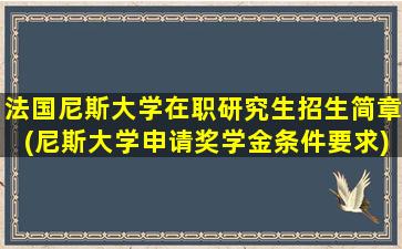 法国尼斯大学在职研究生招生简章(尼斯大学申请奖学金条件要求)