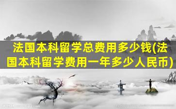 法国本科留学总费用多少钱(法国本科留学费用一年多少人民币)