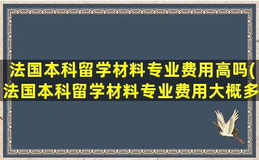 法国本科留学材料专业费用高吗(法国本科留学材料专业费用大概多少)