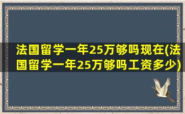 法国留学一年25万够吗现在(法国留学一年25万够吗工资多少)