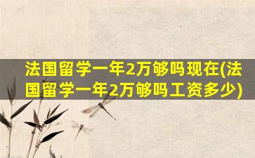 法国留学一年2万够吗现在(法国留学一年2万够吗工资多少)