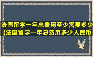 法国留学一年总费用至少需要多少(法国留学一年总费用多少人民币)