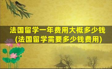 法国留学一年费用大概多少钱(法国留学需要多少钱费用)