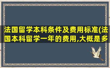 法国留学本科条件及费用标准(法国本科留学一年的费用,大概是多少-)