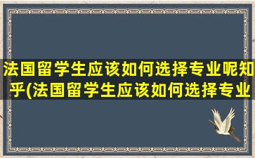 法国留学生应该如何选择专业呢知乎(法国留学生应该如何选择专业呢英文)