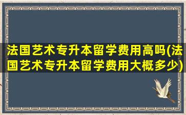 法国艺术专升本留学费用高吗(法国艺术专升本留学费用大概多少)