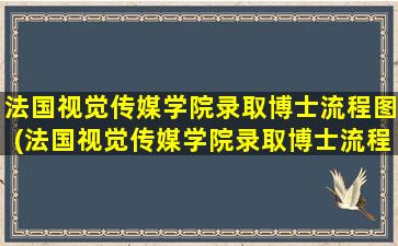 法国视觉传媒学院录取博士流程图(法国视觉传媒学院录取博士流程视频)