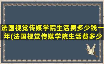 法国视觉传媒学院生活费多少钱一年(法国视觉传媒学院生活费多少钱一个月)