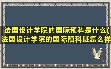 法国设计学院的国际预科是什么(法国设计学院的国际预科班怎么样)