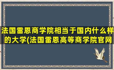 法国雷恩商学院相当于国内什么样的大学(法国雷恩高等商学院官网)