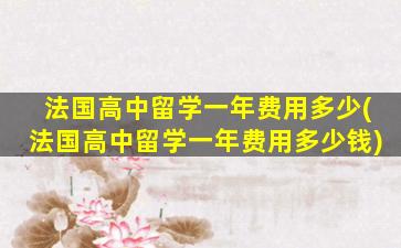 法国高中留学一年费用多少(法国高中留学一年费用多少钱)