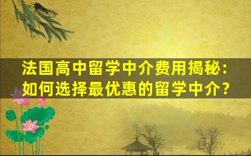 法国高中留学中介费用揭秘：如何选择最优惠的留学中介？