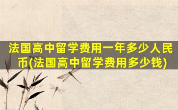 法国高中留学费用一年多少人民币(法国高中留学费用多少钱)