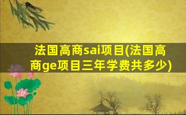 法国高商sai项目(法国高商ge项目三年学费共多少)