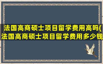 法国高商硕士项目留学费用高吗(法国高商硕士项目留学费用多少钱)