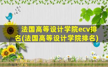 法国高等设计学院ecv排名(法国高等设计学院排名)