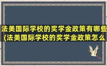 法美国际学校的奖学金政策有哪些(法美国际学校的奖学金政策怎么样)