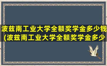 波兹南工业大学全额奖学金多少钱(波兹南工业大学全额奖学金多少钱一个月)