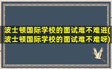 波士顿国际学校的面试难不难进(波士顿国际学校的面试难不难呀)