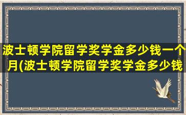 波士顿学院留学奖学金多少钱一个月(波士顿学院留学奖学金多少钱啊)