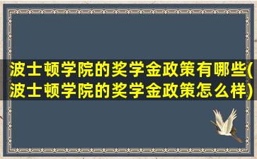 波士顿学院的奖学金政策有哪些(波士顿学院的奖学金政策怎么样)