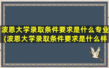 波恩大学录取条件要求是什么专业(波恩大学录取条件要求是什么样的)