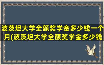 波茨坦大学全额奖学金多少钱一个月(波茨坦大学全额奖学金多少钱啊)