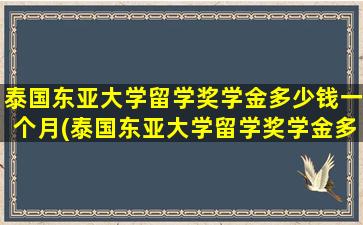 泰国东亚大学留学奖学金多少钱一个月(泰国东亚大学留学奖学金多少钱啊)