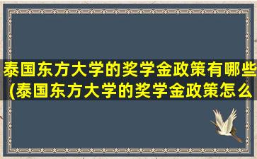 泰国东方大学的奖学金政策有哪些(泰国东方大学的奖学金政策怎么样)